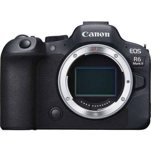 Mirrorless Camera